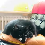 דירה La Belletage By Agelandkaai Be With Free Parking *