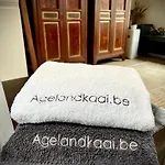 דירה La Belletage By Agelandkaai Be With Free Parking *