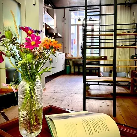 Apartment La Belletage By Agelandkaai Be With Free Parking *