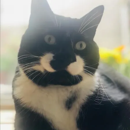 Appartement La Belletage By Agelandkaai Be With Free Parking