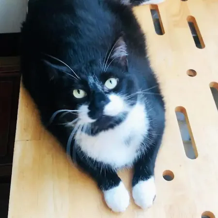 La Belletage By Agelandkaai Be With Free Parking Apartment Ghent