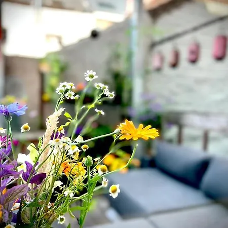 La Bellétage By Agelandkaai Be Appartement Gand