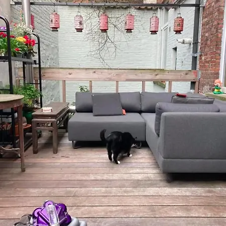 La Belletage By Agelandkaai Be With Free Parking *