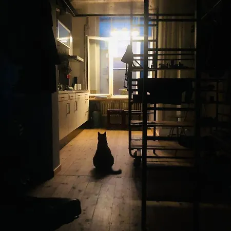 شقة La Belletage By Agelandkaai Be With Free Parking *