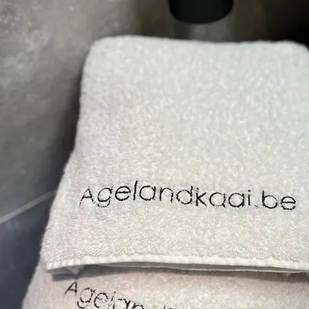 La Belletage By Agelandkaai-Be With Airco アパート