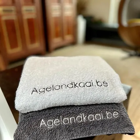 La Bellétage By Agelandkaai Be With Free Parking * Gante