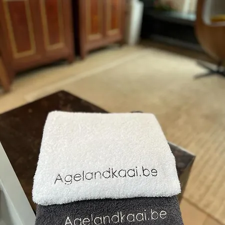 La Belletage By Agelandkaai-Be With Airco アパート