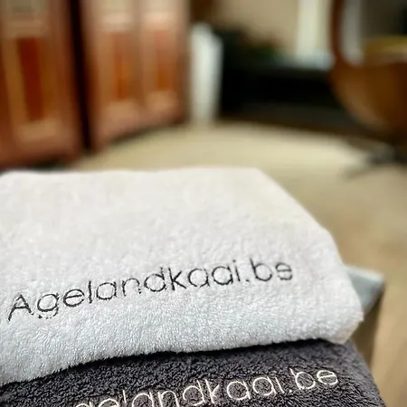 La Belletage By Agelandkaai-Be With Airco アパート *