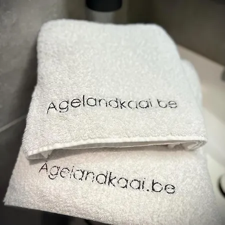 La Belletage By Agelandkaai-Be With Airco アパート ヘント