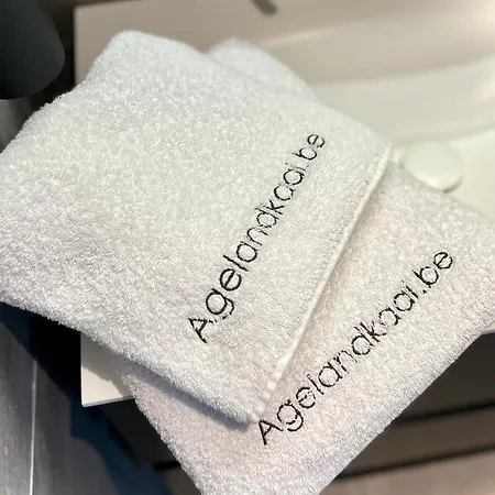 شقة La Belletage By Agelandkaai Be With Free Parking خنت