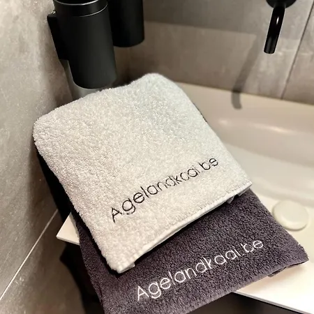 La Belletage By Agelandkaai-Be With Airco ヘント