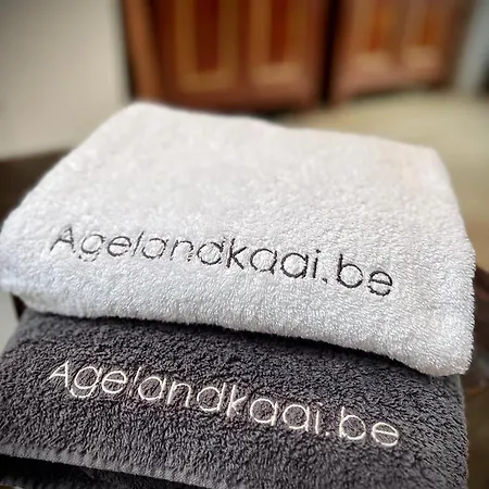 La Belletage By Agelandkaai Be With Free Parking شقة