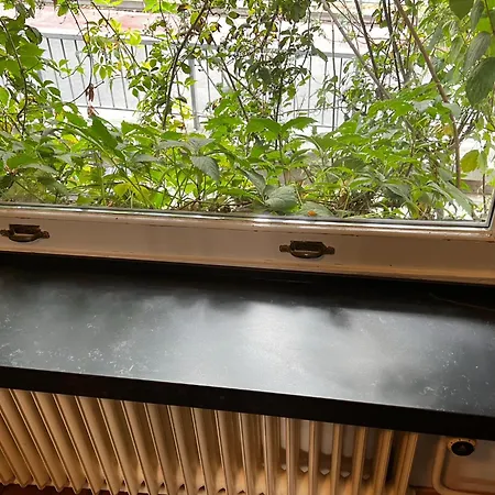 Appartement La Belletage By Agelandkaai Be With Free Parking *