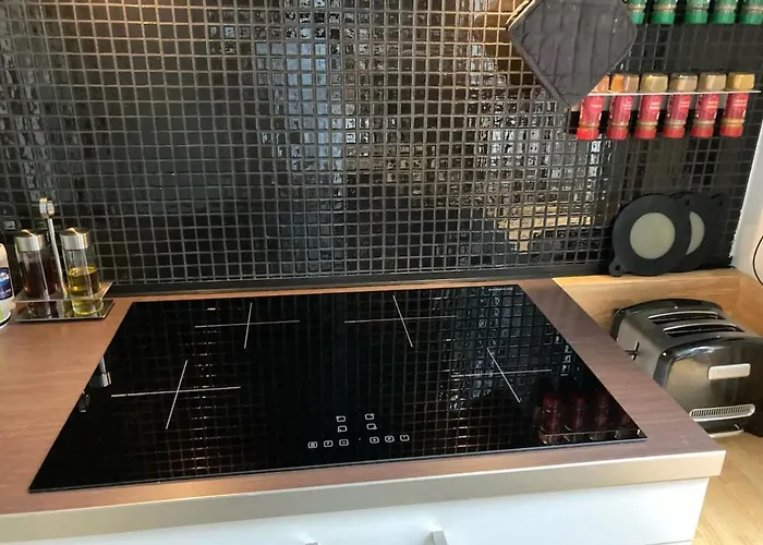 La Belletage By Agelandkaai Be With Free Parking Apartment *