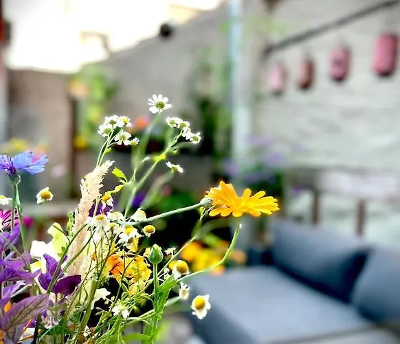 La Belletage By Agelandkaai Be With Free Parking Apartment Ghent