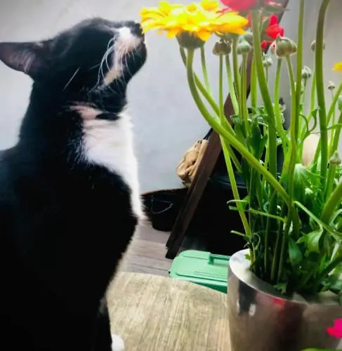 La Belletage By Agelandkaai Be With Free Parking Апартаменти Гент