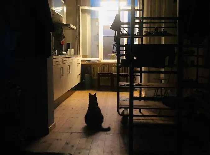 Apartment La Belletage By Agelandkaai Be With Free Parking *