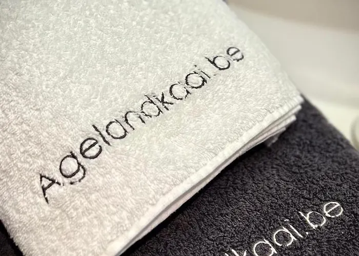 La Belletage By Agelandkaai Be With Free Parking *