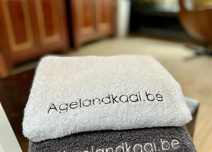 La Belletage By Agelandkaai Be With Free Parking * Ghent