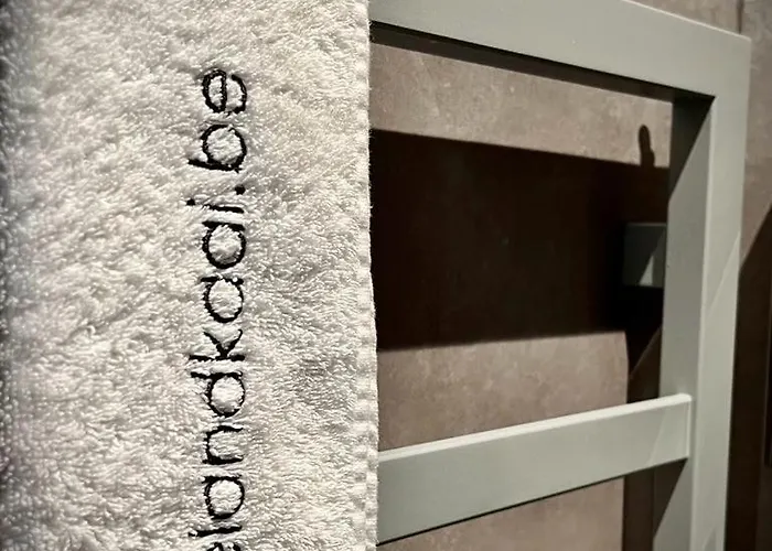 La Belletage By Agelandkaai Be With Free Parking