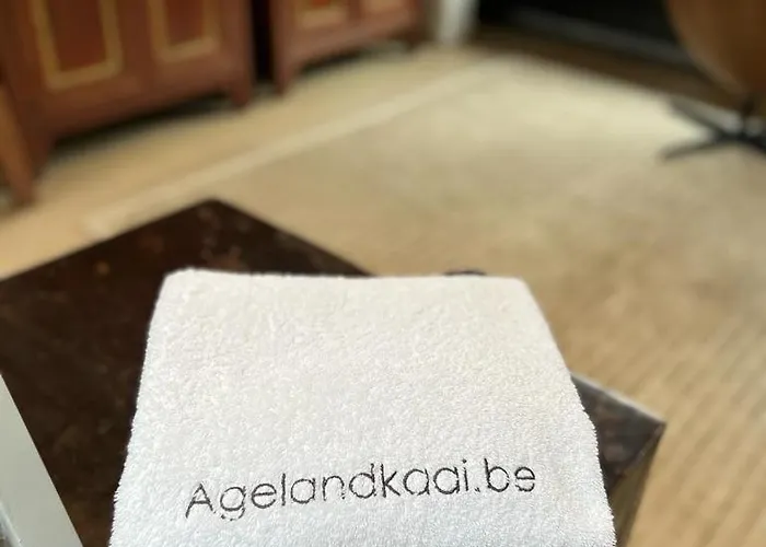 La Belletage By Agelandkaai Be With Free Parking Apartment