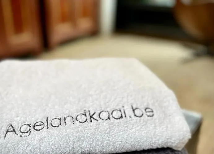 La Belletage By Agelandkaai Be With Free Parking Apartment *