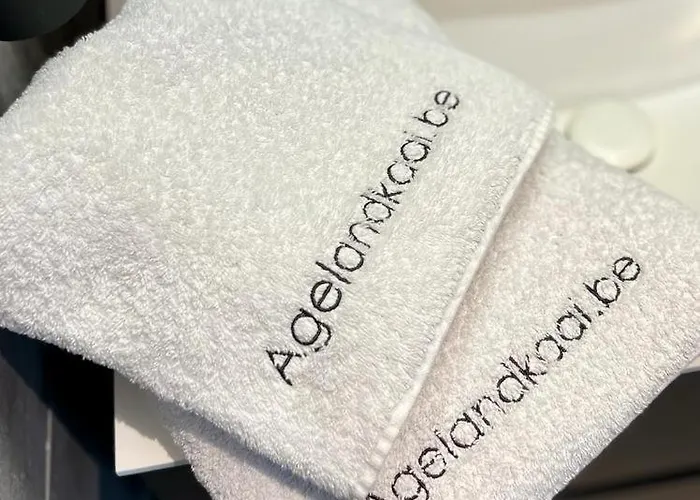 Apartment La Belletage By Agelandkaai Be With Free Parking Ghent