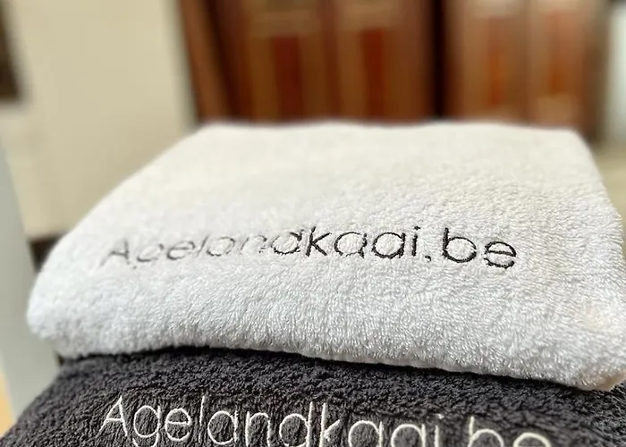 La Belletage By Agelandkaai Be With Free Parking * Ghent