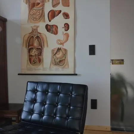 La Belletage By Agelandkaai Be With Free Parking דירה *