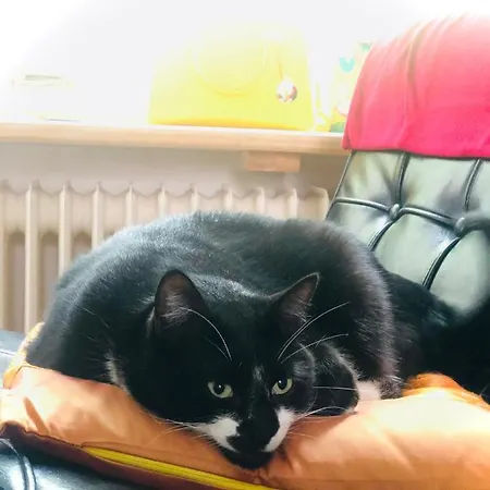 דירה La Belletage By Agelandkaai Be With Free Parking *