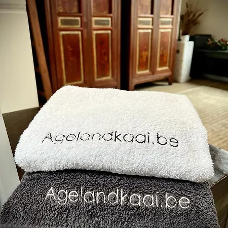 דירה La Belletage By Agelandkaai Be With Free Parking *