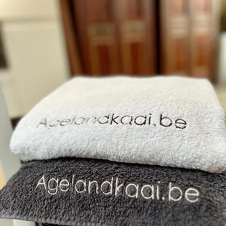 La Belletage By Agelandkaai Be With Free Parking * גנט