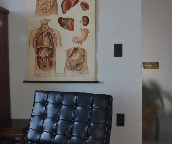 La Belletage By Agelandkaai Be With Free Parking Apartamento *