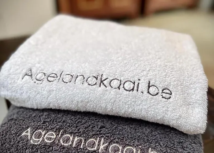 La Belletage By Agelandkaai Be With Free Parking Apartamento